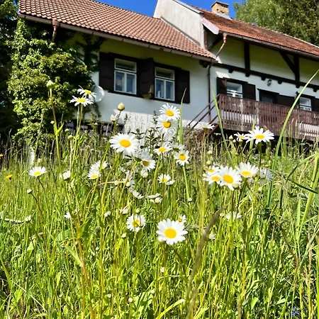 Rychnovanka Chalet *
