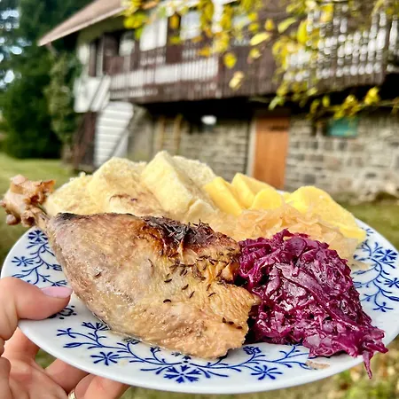 Horská chata Rychnovanka *